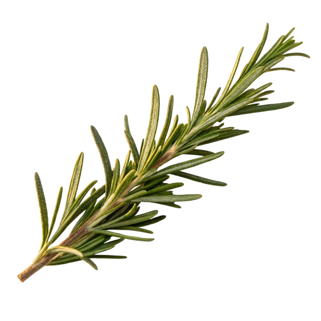 Rosemary